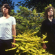 Image for article titled Watch a new video from Fur Trade, a new group featuring members of Hot Hot Heat
